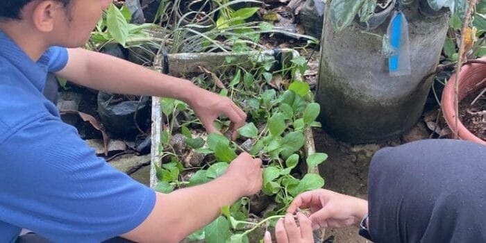 Mahasiswa KKN UNDIP Dorong Percepatan Program Kelompok Wanita Tani di Desa Kedungwinong Melalui Optimalisasi Logistik Mahasiswa KKN UNDIP Dorong Percepatan Program Kelompok Wanita Tani di Desa Kedungwinong Melalui Optimalisasi Logistik