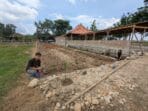 Mahasiswa KKN Undip dan Masyarakat Berkolaborasi dalam Survei Lokasi untuk Percepatan KWT Desa Kedungwinong