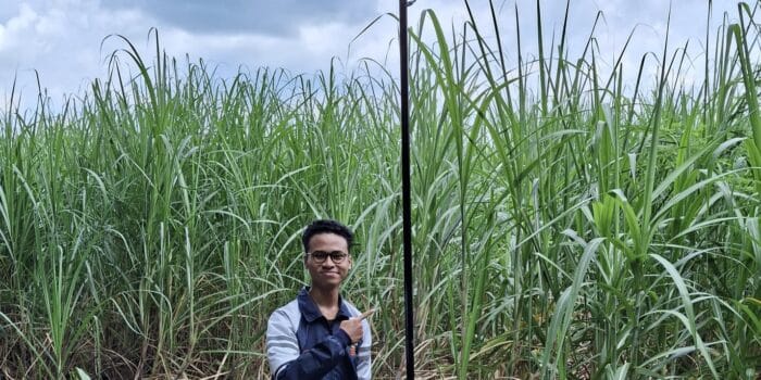 Mahasiswa KKN UNDIP Lakukan Instalasi Penerangan Jalan Umum Berbasis Panel Surya di Desa Jeruk Mahasiswa KKN UNDIP Lakukan Instalasi Penerangan Jalan Umum Berbasis Panel Surya di Desa Jeruk
