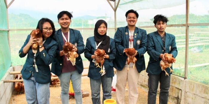 Bantu Kemandirian Pangan, Mahasiswa KKN Undip Beri Demplot dan Pendampingan Pemeliharaan Ayam Petelur Skala Rumah Tangga di Desa Sukorejo, Sragen Bantu Kemandirian Pangan, Mahasiswa KKN Undip Beri Demplot dan Pendampingan Pemeliharaan Ayam Petelur Skala Rumah Tangga di Desa Sukorejo, Sragen