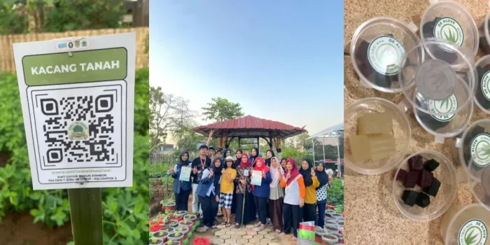 Bikin KWT Go Digital! Mahasiswa KKN Universitas Diponegoro Kenalkan QR Code dan Produk De Alove di Jombor Sukoharjo Bikin KWT Go Digital! Mahasiswa KKN Universitas Diponegoro Kenalkan QR Code dan Produk De Alove di Jombor Sukoharjo