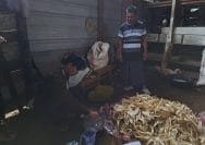 C:\Users\my pc\AppData\Local\Packages\5319275A.WhatsAppDesktop_cv1g1gvanyjgm\TempState\5F7C755FD883D5C3C343D9B06CA9DB05\WhatsApp Image 2025-07-28 at 18.47.24_26705d38.jpg