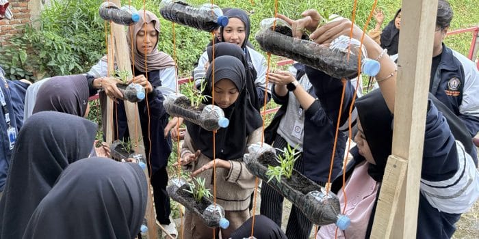 Mahasiswa KKN-T Undip Ajak Anak-anak Gemar Menanam Lewat Vertikultur Kangkung di Dusun Cepoko Mahasiswa KKN-T Undip Ajak Anak-anak Gemar Menanam Lewat Vertikultur Kangkung di Dusun Cepoko