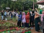 Bukan Tahu Petis! Mahasiswa KKN Universitas Diponegoro Pasang Petis untuk Menyiram Tanaman