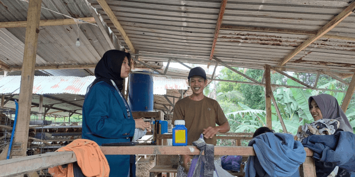 Edukasi Desinfektan Herbal Alami, Upaya Mahasiswa KKN-T Hadirkan Solusi Alami untuk Sanitasi Kandang yang Lebih Ramah Lingkungan Edukasi Desinfektan Herbal Alami, Upaya Mahasiswa KKN-T Hadirkan Solusi Alami untuk Sanitasi Kandang yang Lebih Ramah Lingkungan