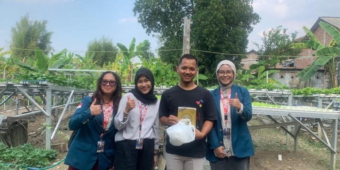 Mahasiswa KKN-T UNDIP Kenalkan Yellow Trap, Solusi Cerdas Tangkal Hama di UMKM Hidroponik Plamongansari