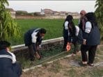 Mahasiswa KKN UNDIP Lakukan Pendekatan Kontekstual untuk Mewujudkan Ruang Terbuka Multifungsi di Desa Plumbon