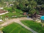 IMG_0167 (2)