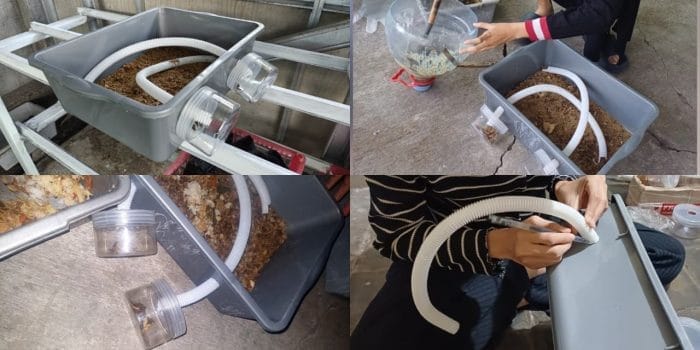Mahasiswa KKN Undip Membuat Prototype Pemisahan Maggot dengan Prepupa secara Otomatis Mahasiswa KKN Undip Membuat Prototype Pemisahan Maggot dengan Prepupa secara Otomatis