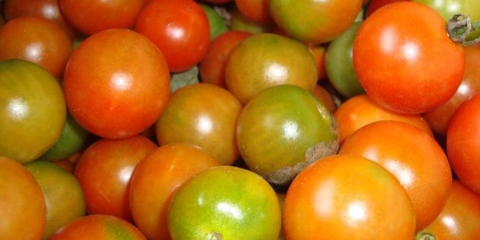 TERBONGKAR! Satu Buah Merah Ini Kunci Jantung Sehat Anda, Inovasi Astyfarm Bikin Para Ahli Terkejut! TERBONGKAR! Satu Buah Merah Ini Kunci Jantung Sehat Anda, Inovasi Astyfarm Bikin Para Ahli Terkejut!