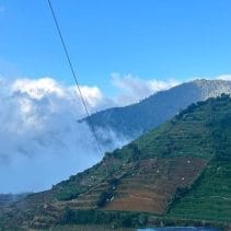 WhatsApp Image 2025-08-12 at 14.18.56.jpeg