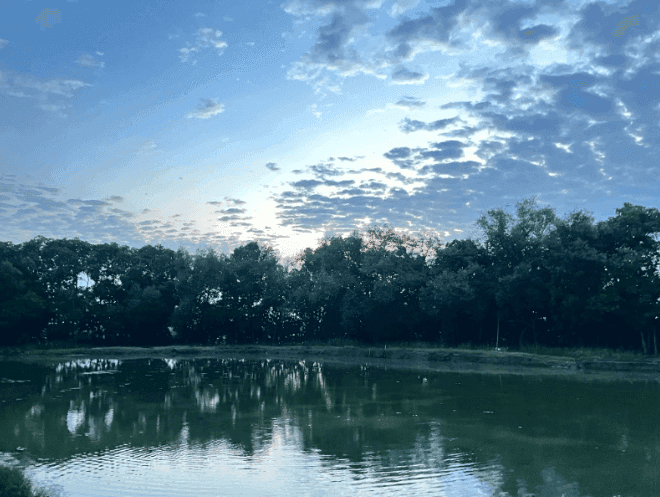 Emas Biru Betahwalang, Perjuangan Nelayan Rajungan di Antara Mimpi Pabrik dan Ancaman Abrasi