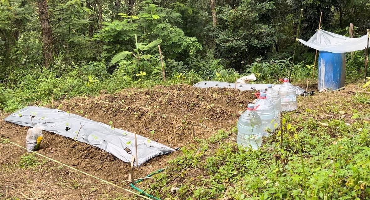 Inovasi Mahasiswa KKN-T IDBU Tim 32 Wujudkan Pengembangan Agrowisata Berkelanjutan di Desa Mluweh, Kabupaten Semarang Inovasi Mahasiswa KKN-T IDBU Tim 32 Wujudkan Pengembangan Agrowisata Berkelanjutan di Desa Mluweh, Kabupaten Semarang
