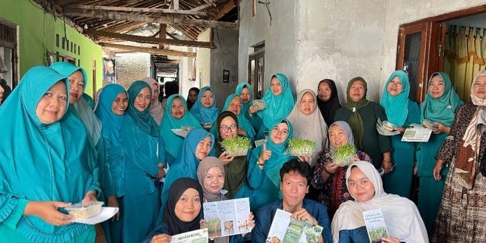 Mahasiswa KKN-T IDBU TIM 85 UNDIP Tingkatkan Kemandirian Pangan dan Kesehatan Keluarga Melalui Microgreens dan Tanaman Toga di Kelurahan Tambangan Mahasiswa KKN-T IDBU TIM 85 UNDIP Tingkatkan Kemandirian Pangan dan Kesehatan Keluarga Melalui Microgreens dan Tanaman Toga di Kelurahan Tambangan