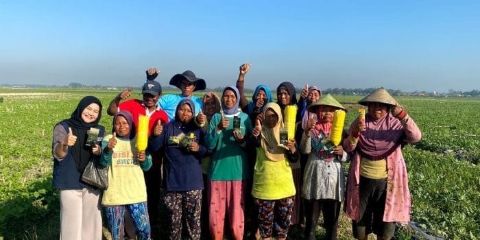 Mahasiswa KKN-T 116 Undip Optimalkan Sistem Pengendalian Hama Berbasis Lean Farming untuk Wujudkan Ketahanan Pangan dan Cegah Stunting di Desa Kalangdosari