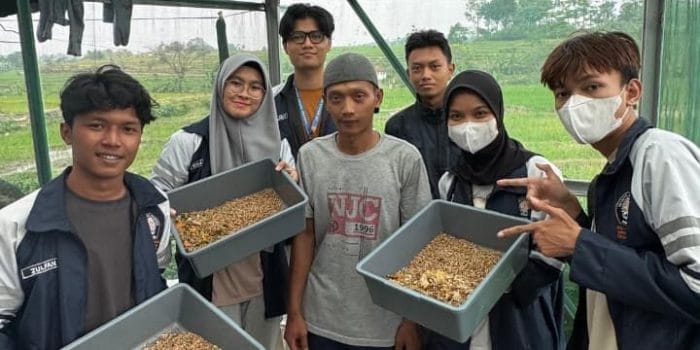 Mahasiswa KKN-T IDBU Tim 9 UNDIP Kenalkan Budidaya Maggot sebagai Solusi Inovatif Pengolahan Sampah Organik di TPS-3R Rahayu Camana, Desa Suruh Mahasiswa KKN-T IDBU Tim 9 UNDIP Kenalkan Budidaya Maggot sebagai Solusi Inovatif Pengolahan Sampah Organik di TPS-3R Rahayu Camana, Desa Suruh