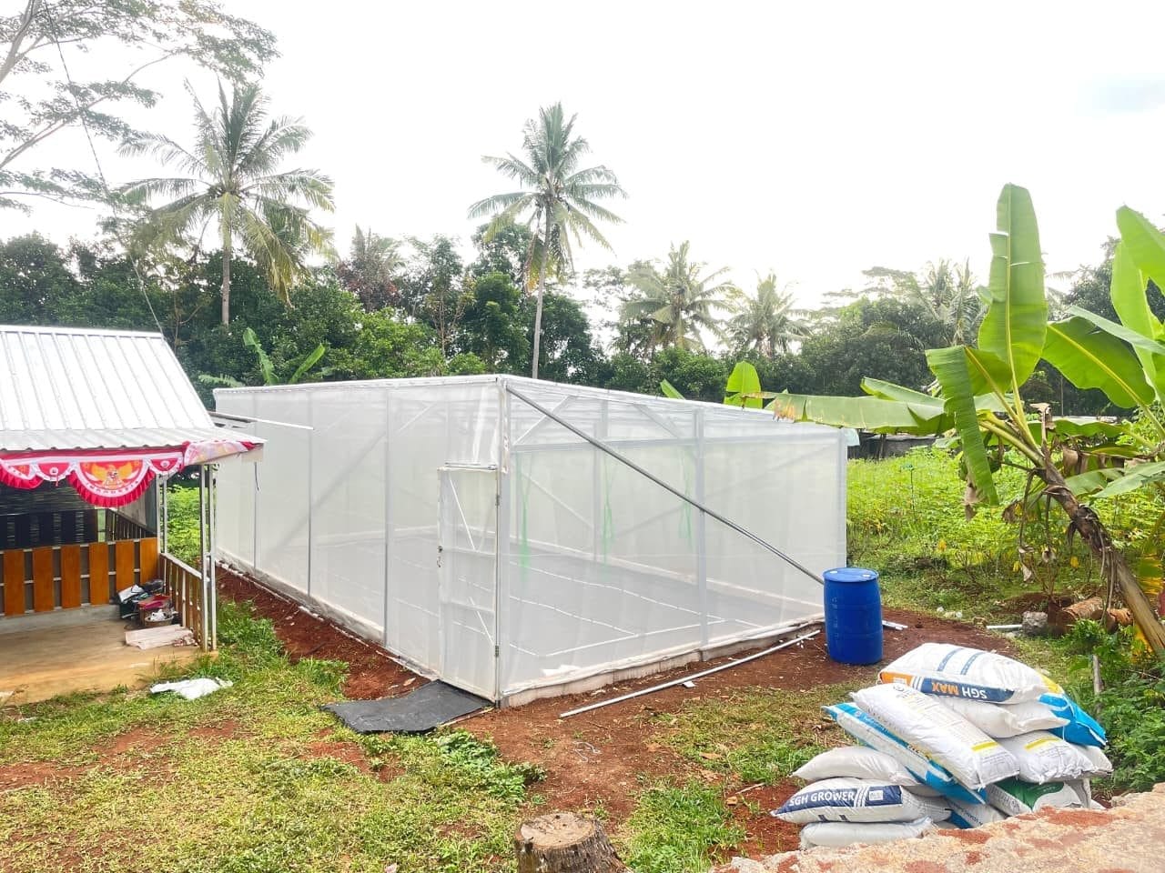 Mahasiswa KKN-T IDBU 45 Undip Bangun Greenhouse dan Raised Bed lewat Program “Kampung Sibagus” demi Kemandirian Pangan Mahasiswa KKN-T IDBU 45 Undip Bangun Greenhouse dan Raised Bed lewat Program “Kampung Sibagus” demi Kemandirian Pangan