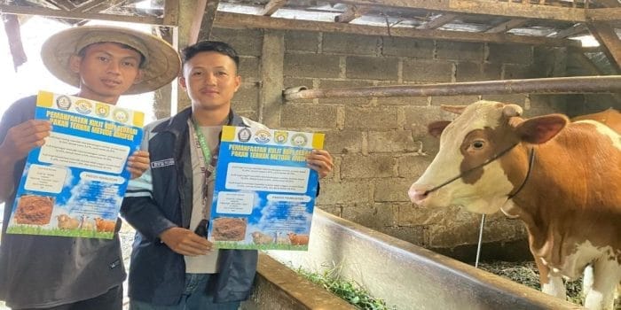 Program KKN-T Tim 21 UNDIP Lakukan Pemberdayaan Masyarakat Desa Gedong Kendal Lewat Pengolahan Kulit Kopi Fermentasi sebagai Pakan Ternak Tinggi Nutrisi Program KKN-T Tim 21 UNDIP Lakukan Pemberdayaan Masyarakat Desa Gedong Kendal Lewat Pengolahan Kulit Kopi Fermentasi sebagai Pakan Ternak Tinggi Nutrisi