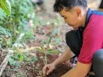 Mahasiswa KKN Universitas PGRI Semarang Laksanakan Kerja Bakti Dan Penanaman Bibit Pohon Palem Bersama Warga di Dusun Tompo Gunung