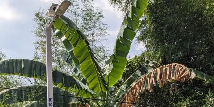 Menerangi dan Mengedukasi, Inovasi Lingkungan dari Mahasiswa KKN-T UPGRIS Kelompok 10 di Desa Kalongan