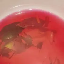 guest-1765103791-b6d0-IMG20251125174429