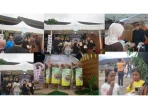 Banana Bloom Chips Warnai Gelar Karya Jagad Semar 2025, Inovasi Olahan Jantung Pisang Dapat Apresiasi Warga