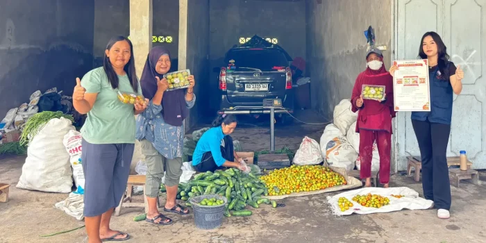 Mahasiswa KKN Undip Desa Baturan 2026 Dampingi Petani Tomat Tingkatkan Mutu Pascapanen dan Akses Pasar Digital Mahasiswa KKN Undip Desa Baturan 2026 Dampingi Petani Tomat Tingkatkan Mutu Pascapanen dan Akses Pasar Digital