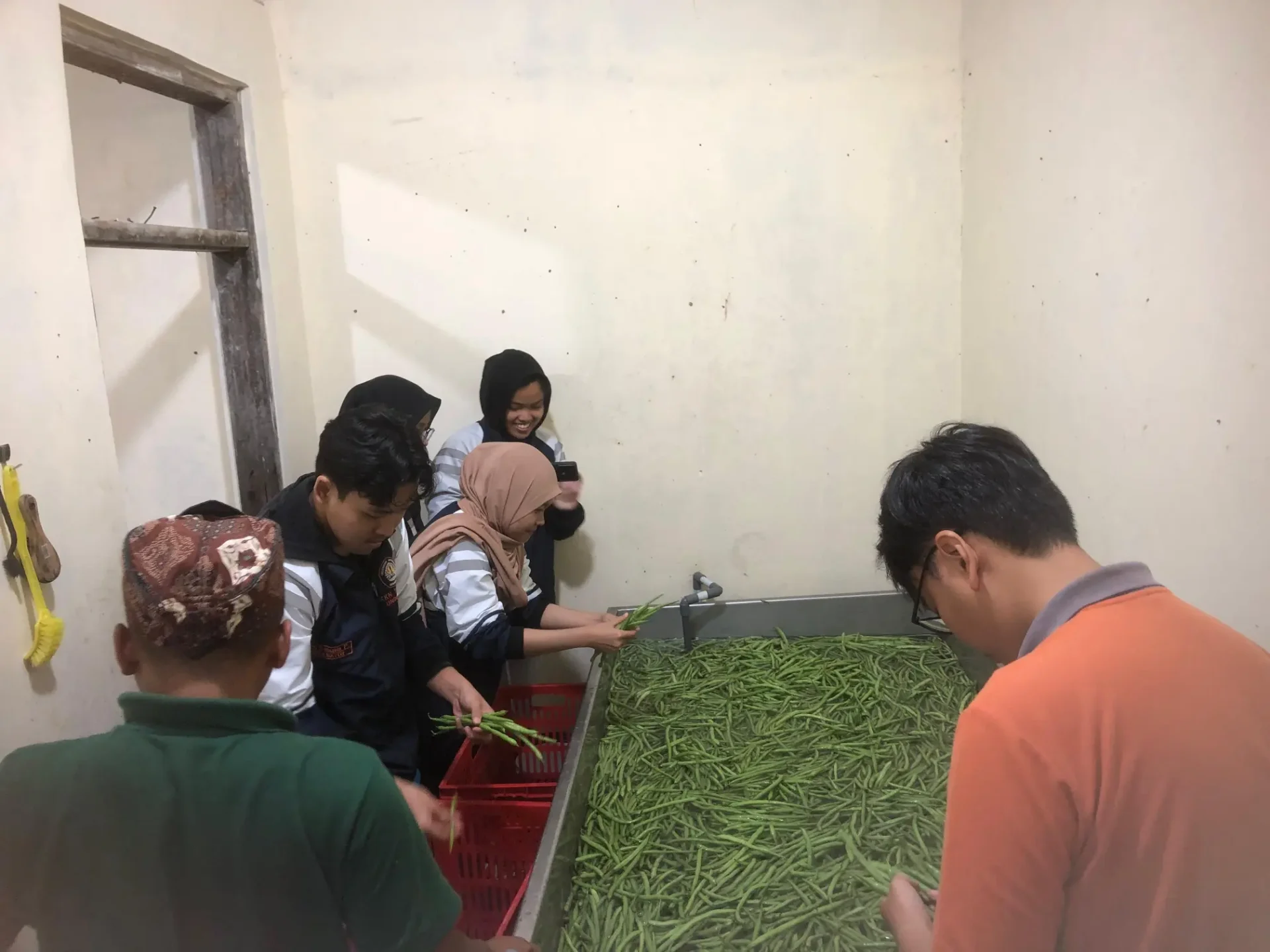 Mahasiswa KKN-Tematik Tim 21 Undip Bantu Usaha Hortikultura Desa Batur Tetap Segar dengan Ozon Mahasiswa KKN-Tematik Tim 21 Undip Bantu Usaha Hortikultura Desa Batur Tetap Segar dengan Ozon
