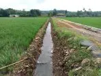 Jalan-sawah-desa-Sumurjomblangbogo