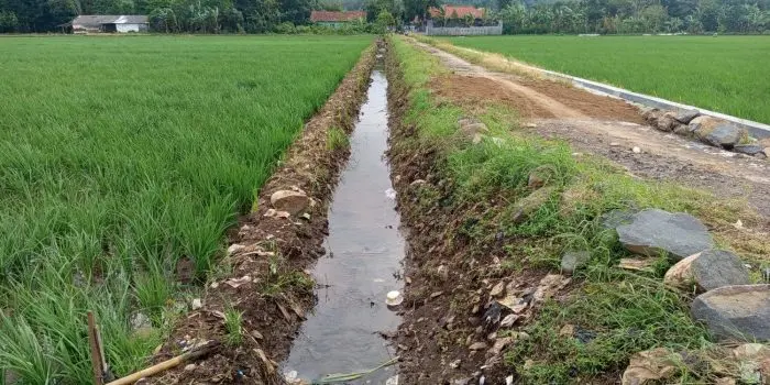 Jalan-sawah-desa-Sumurjomblangbogo