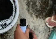 Screenshot-2026-02-10-172436