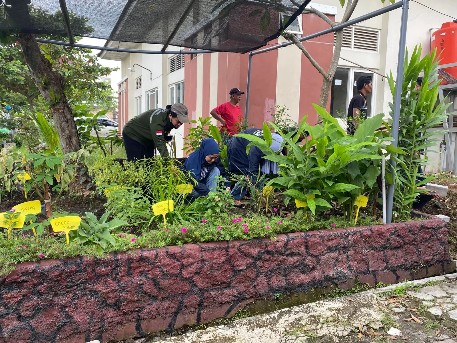 WhatsApp-Image-2026-02-01-at-13.24.17