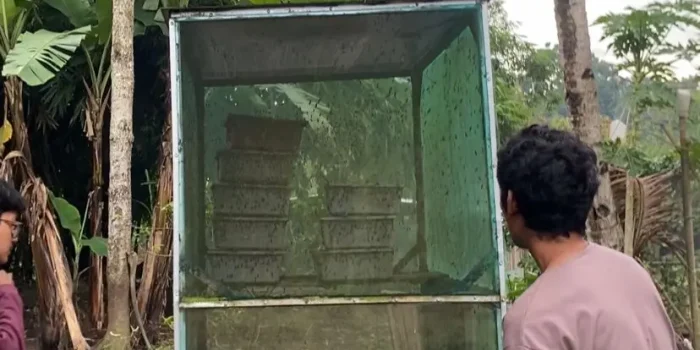 Mahasiswa KKN UNDIP Angkat Program Perawatan dan Modifikasi Alat Pendukung Budidaya Maggot, Tingkatkan Efisiensi dan Keberlanjutan Usaha Warga di Desa Baturan Mahasiswa KKN UNDIP Angkat Program Perawatan dan Modifikasi Alat Pendukung Budidaya Maggot, Tingkatkan Efisiensi dan Keberlanjutan Usaha Warga di Desa Baturan
