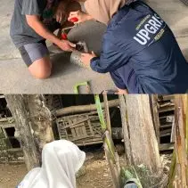 WhatsApp-Image-2026-02-10-at-11.27.11