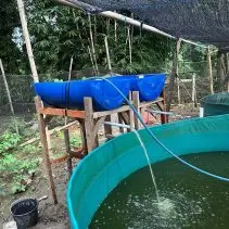 WhatsApp-Image-2026-02-10-at-23.34.24