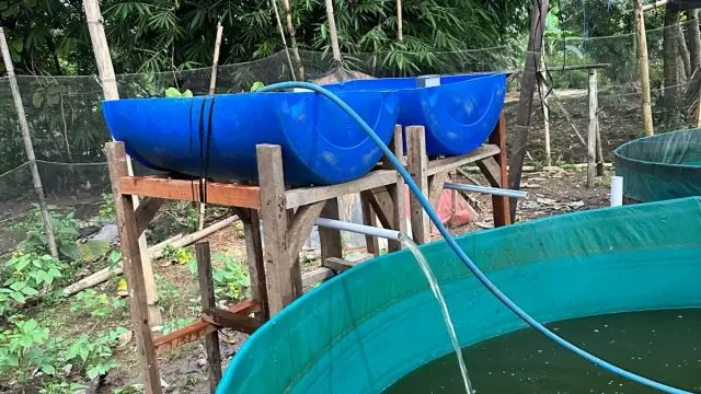 WhatsApp-Image-2026-02-10-at-23.34.24