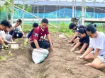 Mahasiswa KKN Undip Tim 87 Dorong Pengembangan Greenhouse Desa Tambakan untuk Pemberdayaan Ekonomi Warga