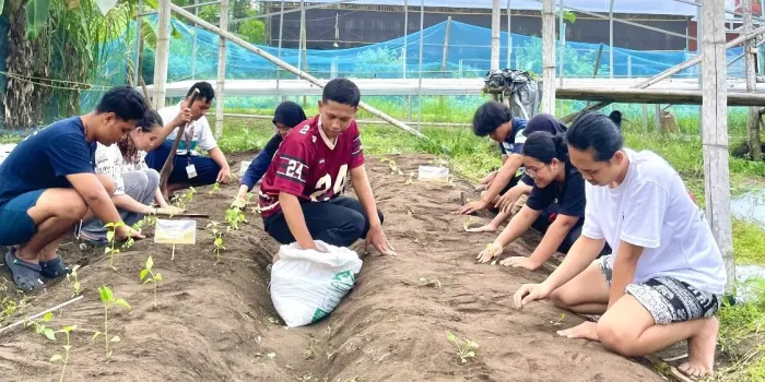 Mahasiswa KKN Undip Tim 87 Dorong Pengembangan Greenhouse Desa Tambakan untuk Pemberdayaan Ekonomi Warga