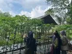 Minat Pembudidaya Turun, Usaha Bibit Cabai Dinilai Kurang Menguntungkan