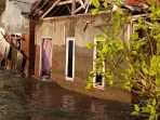 Banjir Rob Kian Meluas di Ulujami, Lahan Warga Terendam dan Permukiman Tergenang Banjir Rob Kian Meluas di Ulujami, Lahan Warga Terendam dan Permukiman Tergenang
