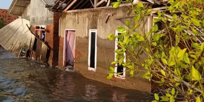 Banjir Rob Kian Meluas di Ulujami, Lahan Warga Terendam dan Permukiman Tergenang