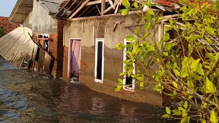 Banjir Rob Kian Meluas di Ulujami, Lahan Warga Terendam dan Permukiman Tergenang