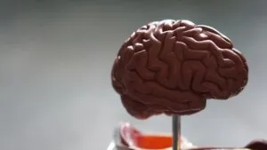 Alzheimer: Saat Kenangan Perlahan Memudar, Masihkah Kita Punya Kesempatan Mencegahnya?