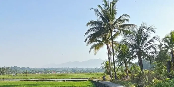 Petani Desa Kayupuring Terjerat Hambatan Administratif, Hak Jaminan Sosial Belum Terpenuhi