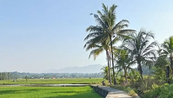 Petani Desa Kayupuring Terjerat Hambatan Administratif, Hak Jaminan Sosial Belum Terpenuhi